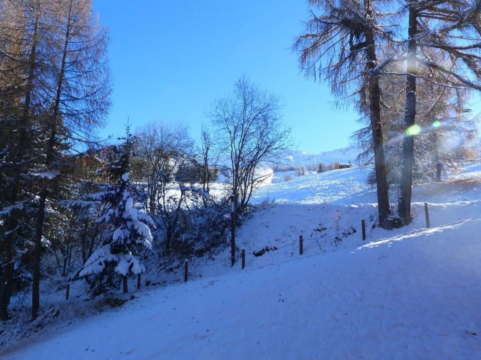 Snow and ski sports