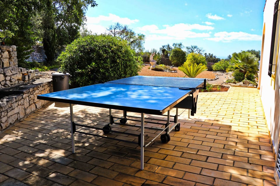 Ping Pong
