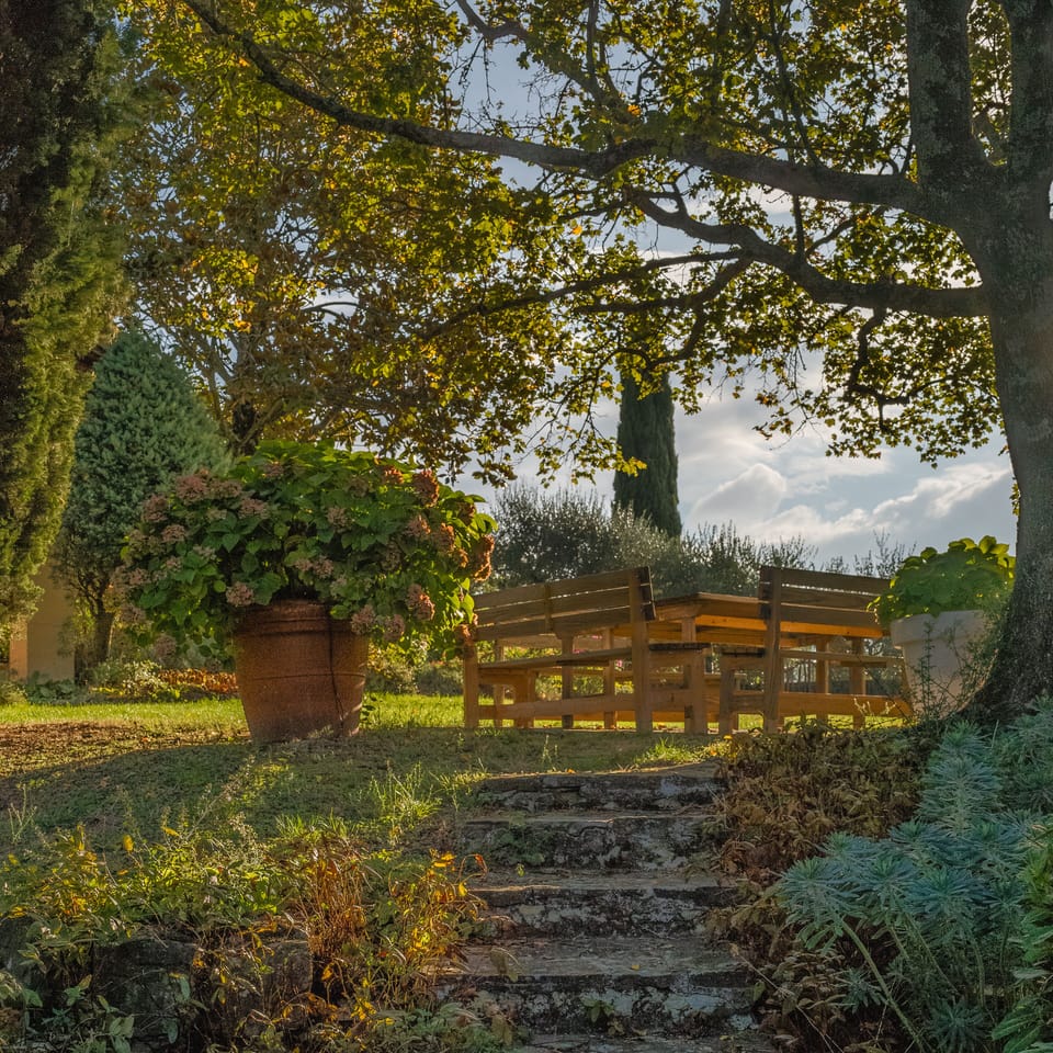 picknick, tea time in garden