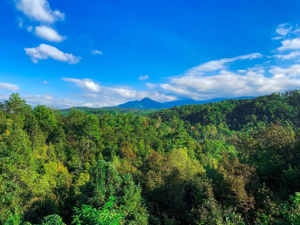 Stunning view of Mt LeConte from the upper deck