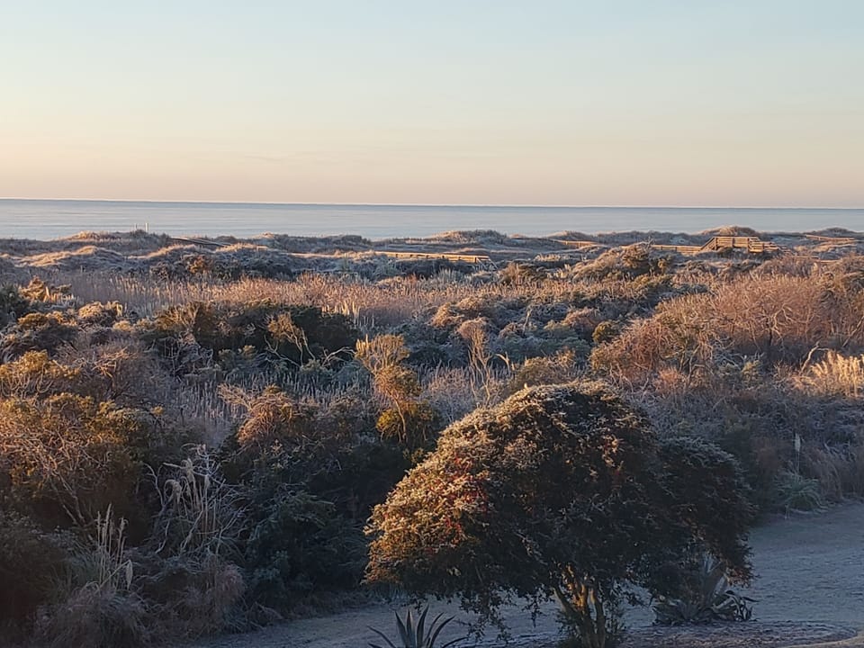 View from upper level master
