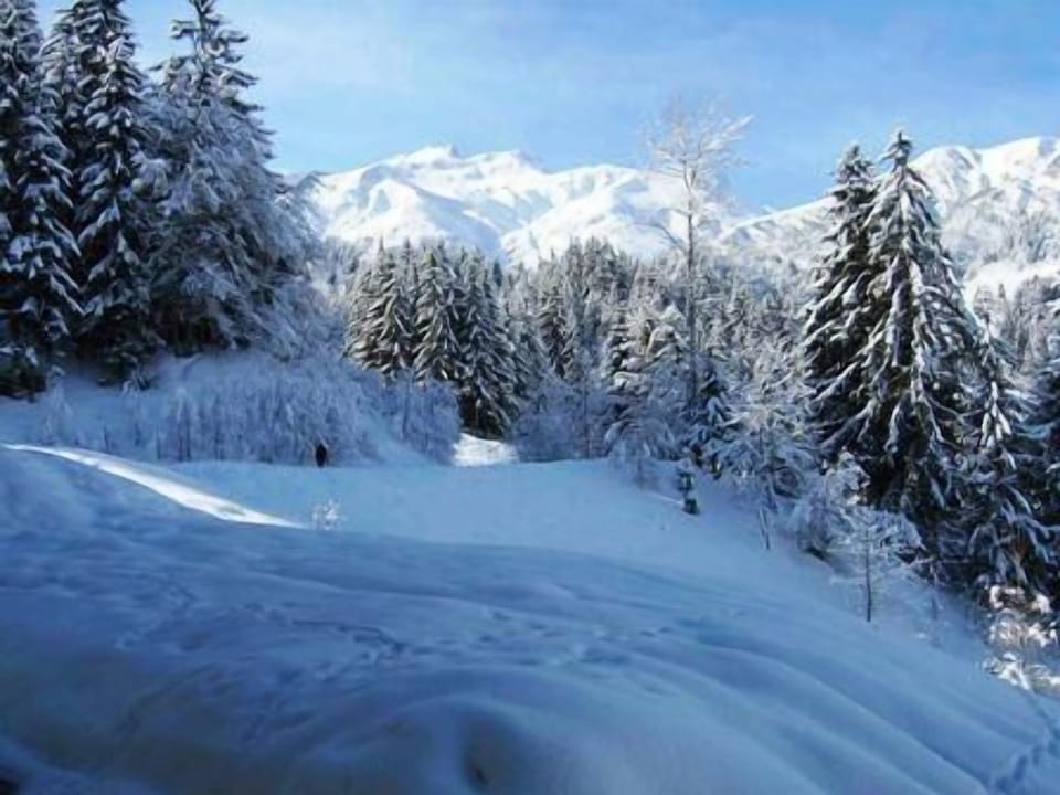 Snow and ski sports