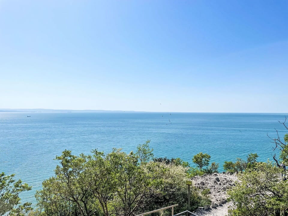 Water, Sky, Plant Community, Plant, Natural Landscape, Horizon, Landscape, Tree, Lake, Headland
