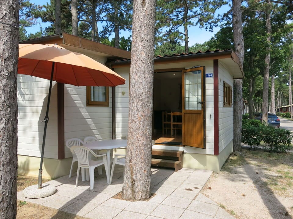 Plant, Property, Tree, Table, Sky, Shade, Wood, Window, Chair, Outdoor Furniture