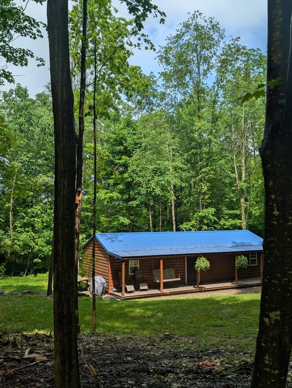 Front view