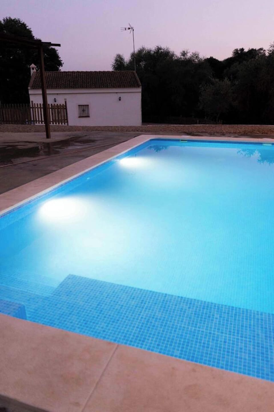 Swimming pool view
