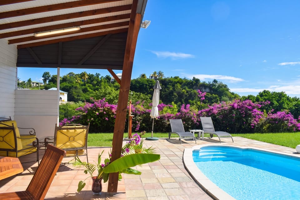 Swimming pool view