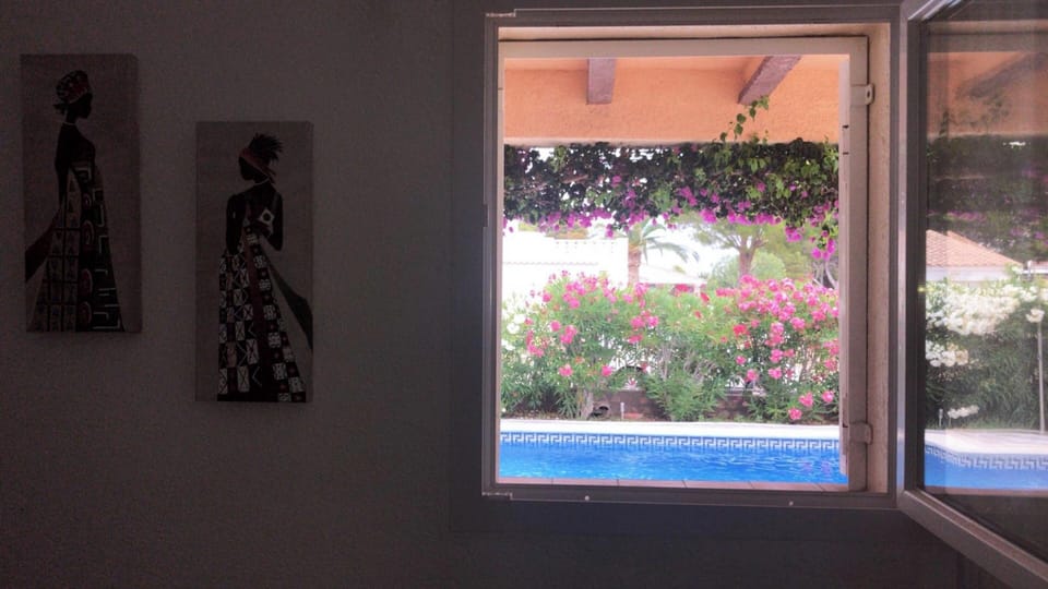 Swimming pool view