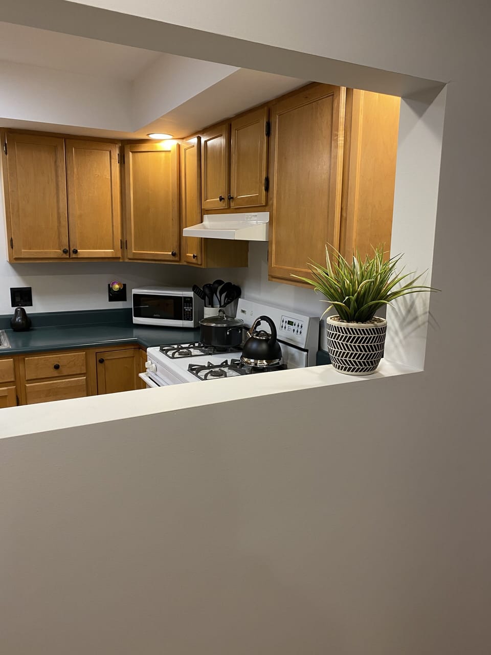 Looking into well equipped kitchen 