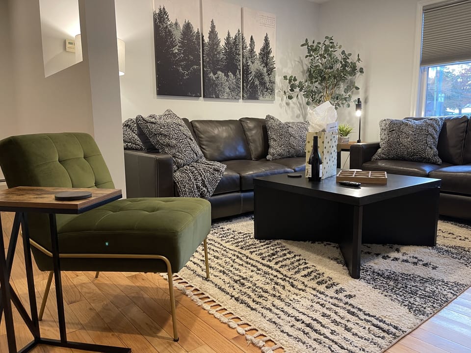 Living room with pullout sofa that has a queen sized memory foam mattress 