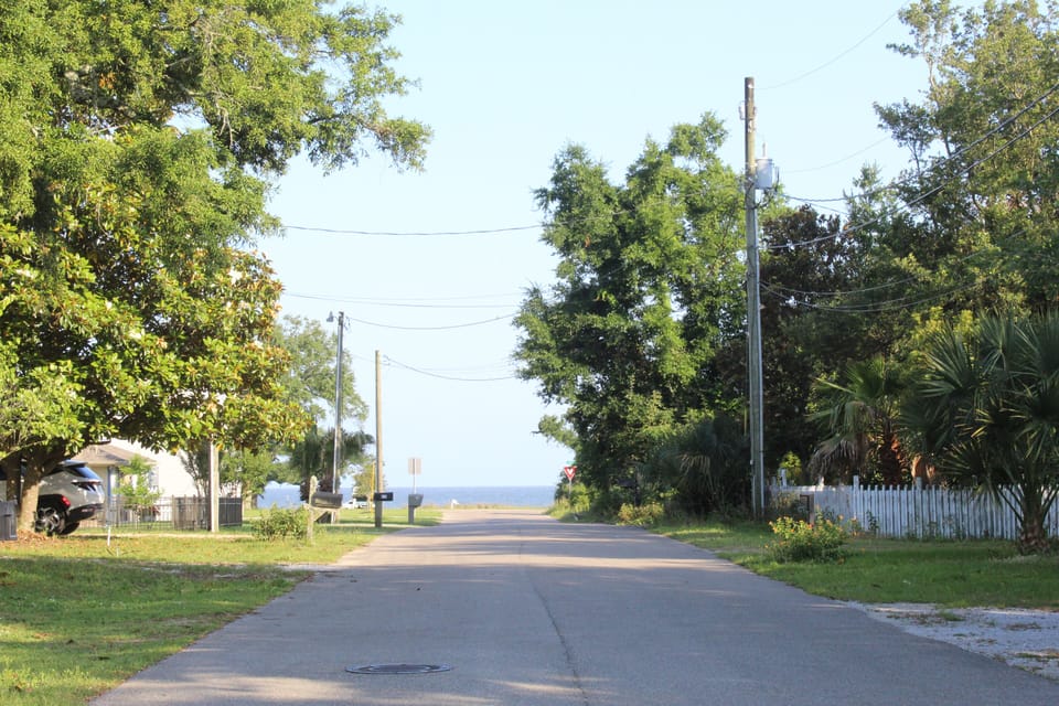 Front yard looking South
