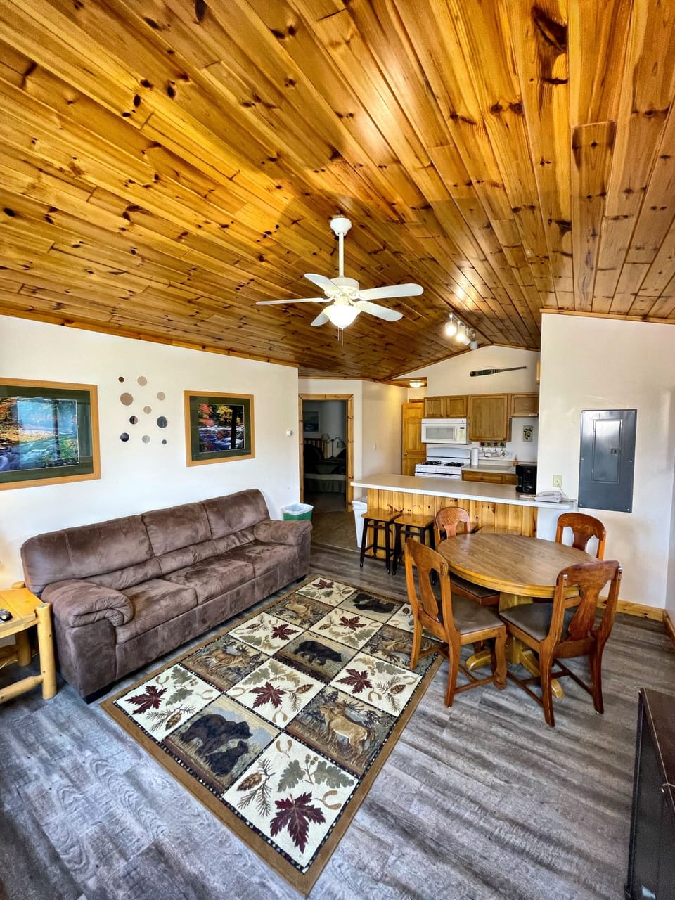 Living room with sleeper sofa
