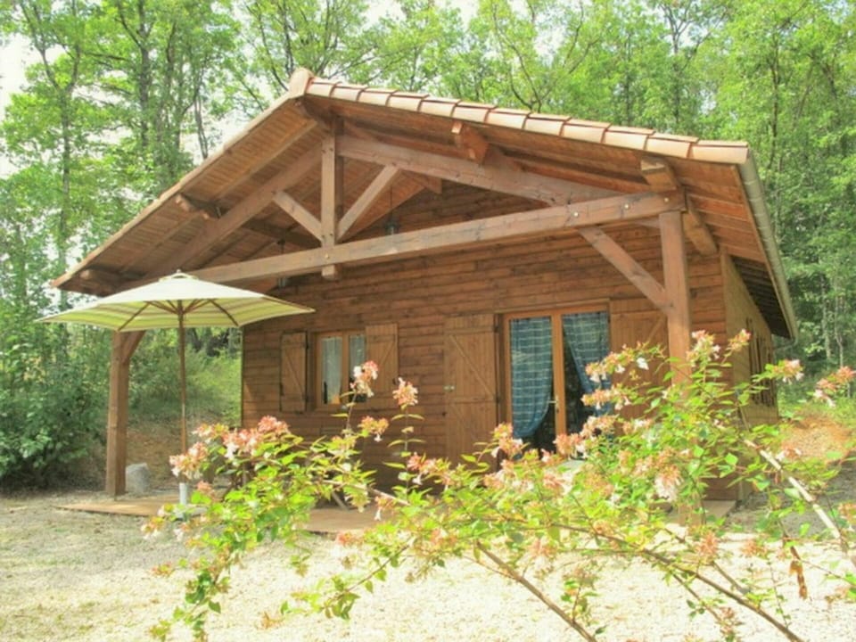 Plant, Flower, Building, Plant Community, Window, Tree, Wood, Shade, House, Natural Landscape