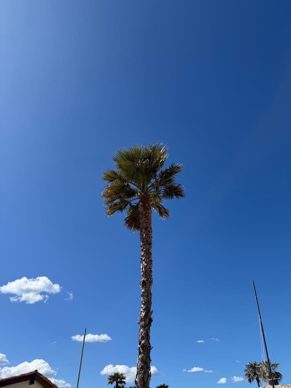 Miscellaneous