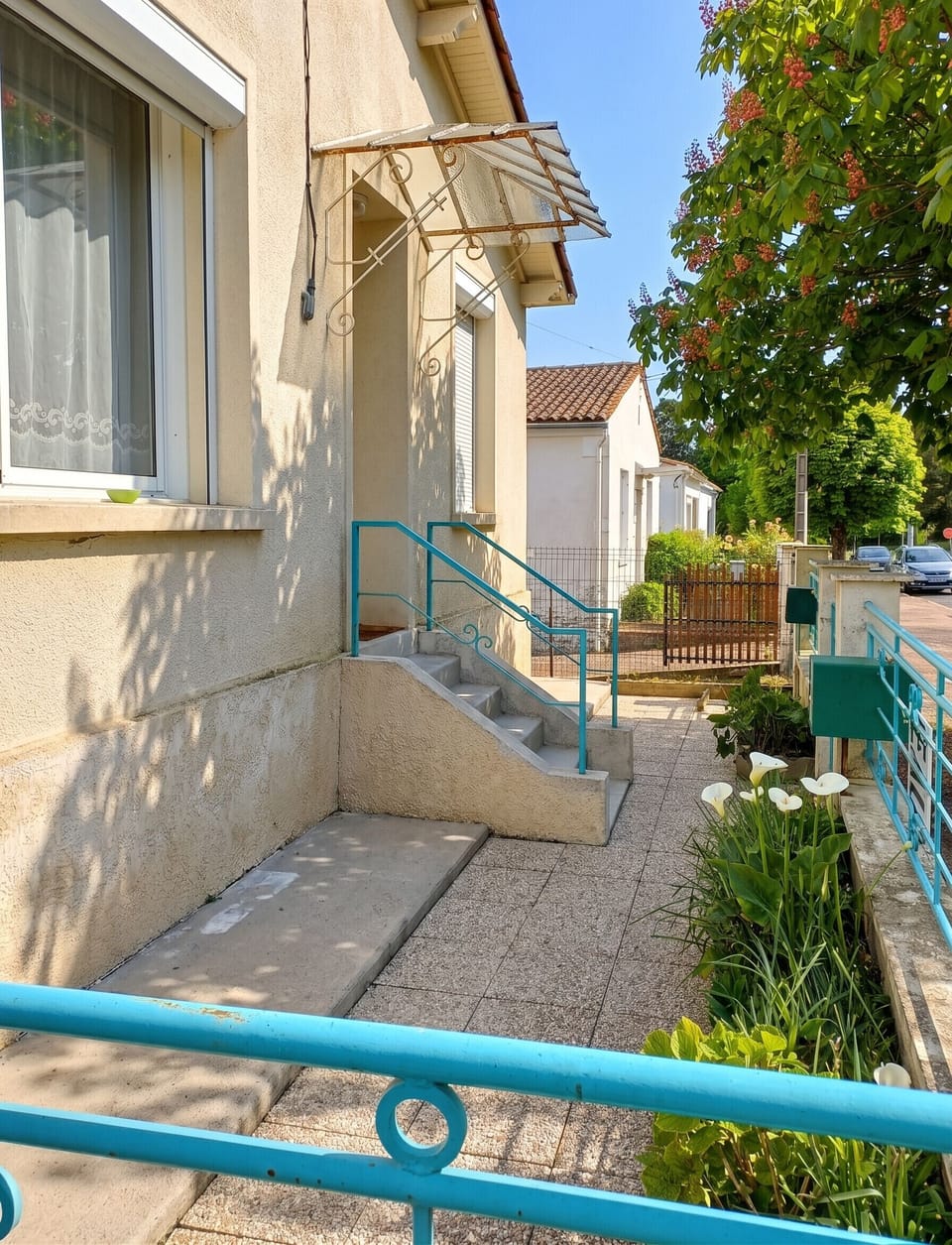 Front view