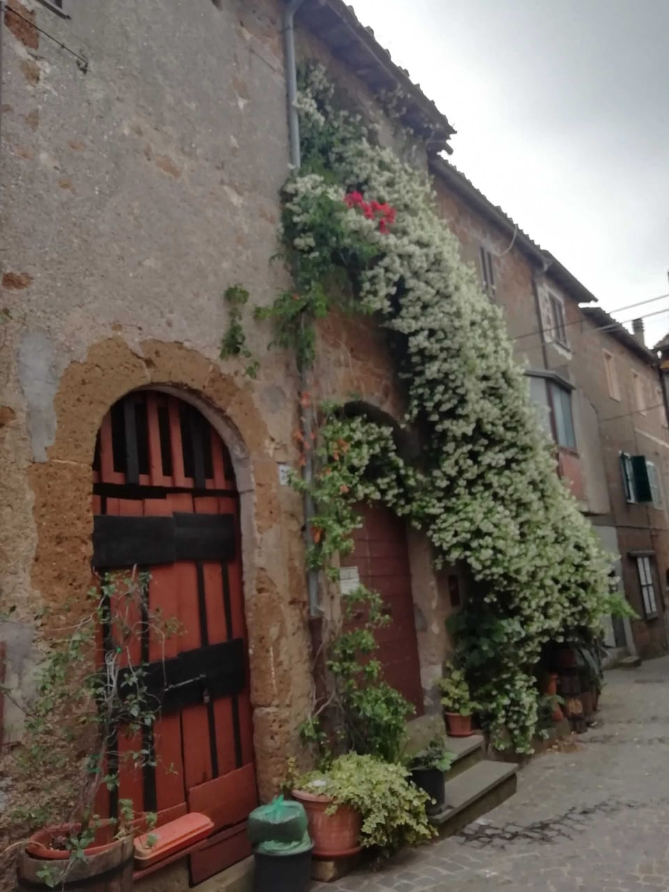 Front view