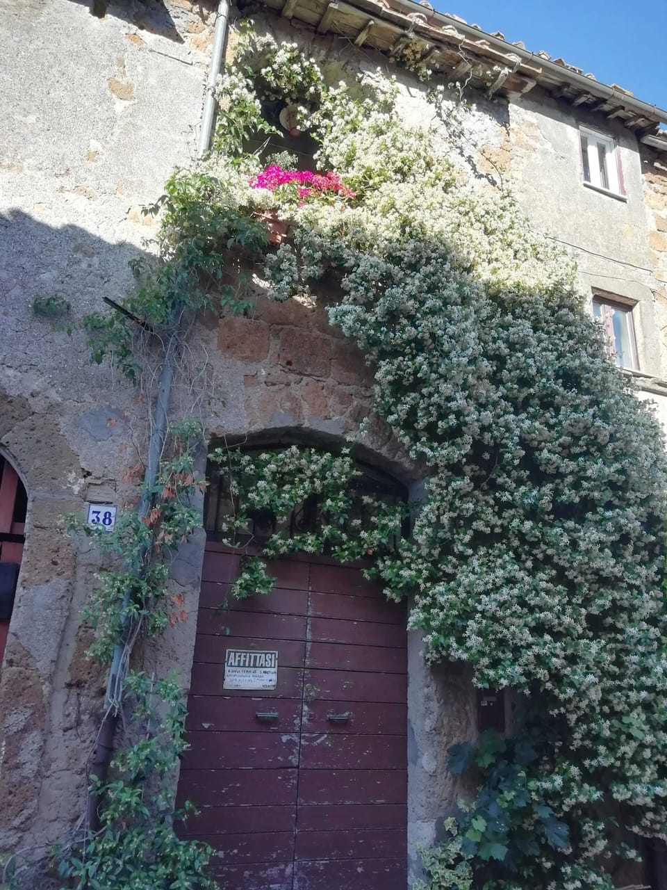 Front view