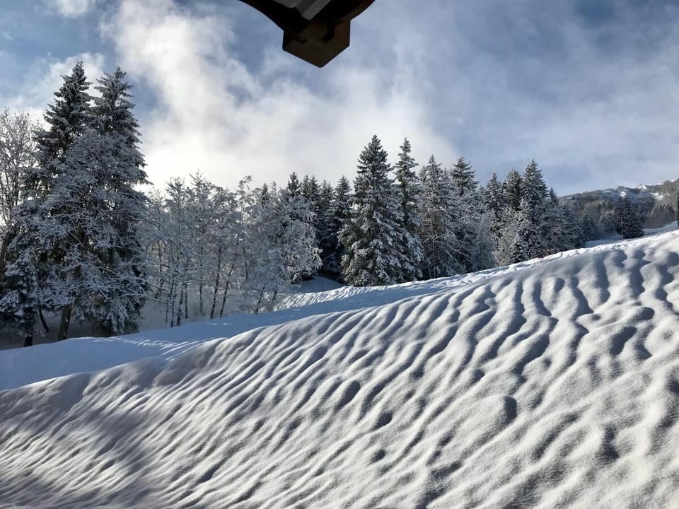 Snow and ski sports