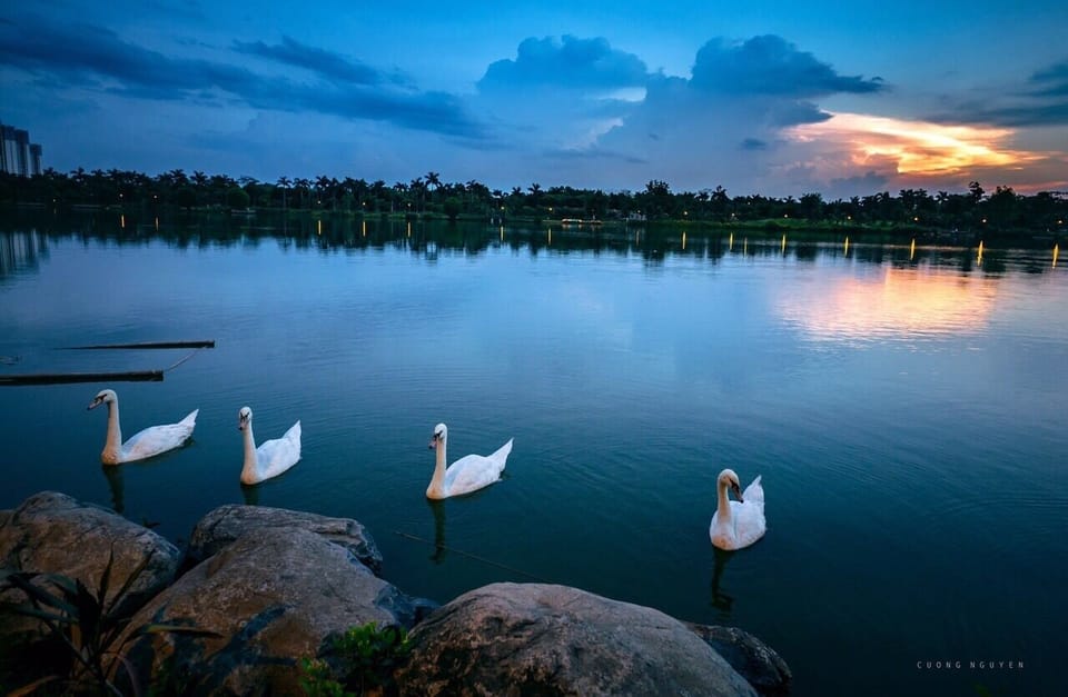Lake