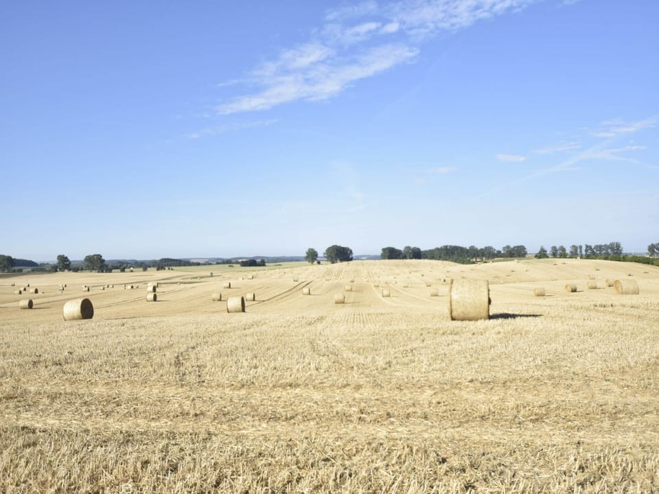 Immediate Surroundings [summer] (<1 km)
