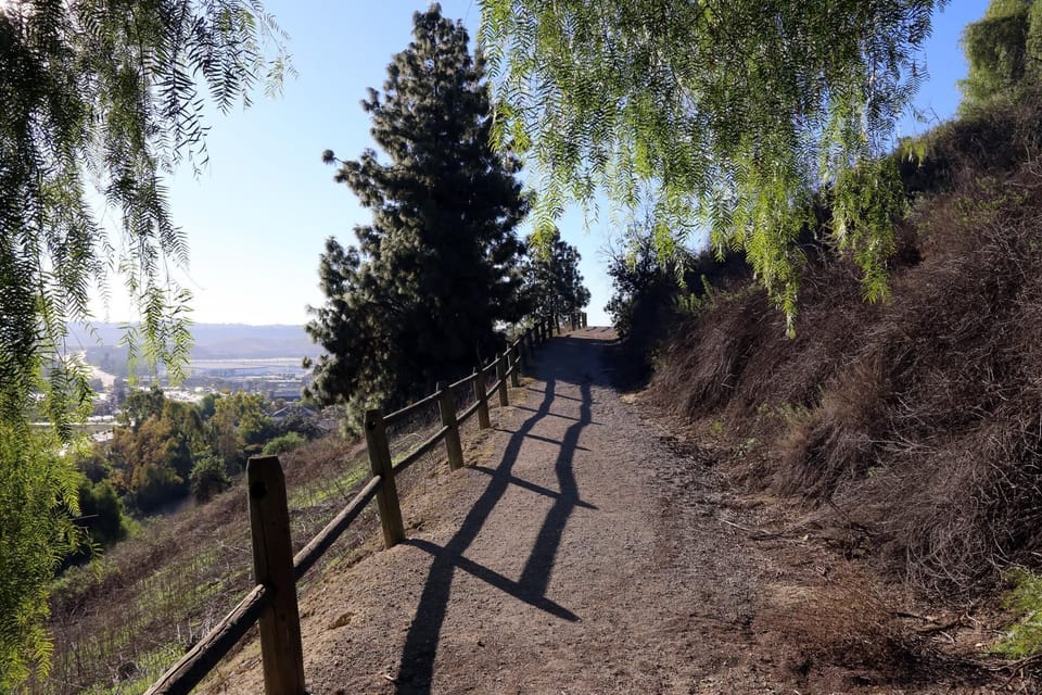 Trails for jogging, walking or just enjoying nautre. 