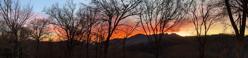 Book Your Stay at Little Sugar Haven Today!