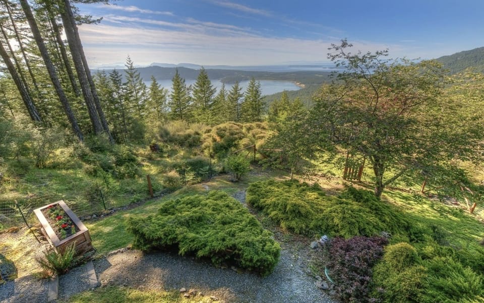 View of backyard from deck