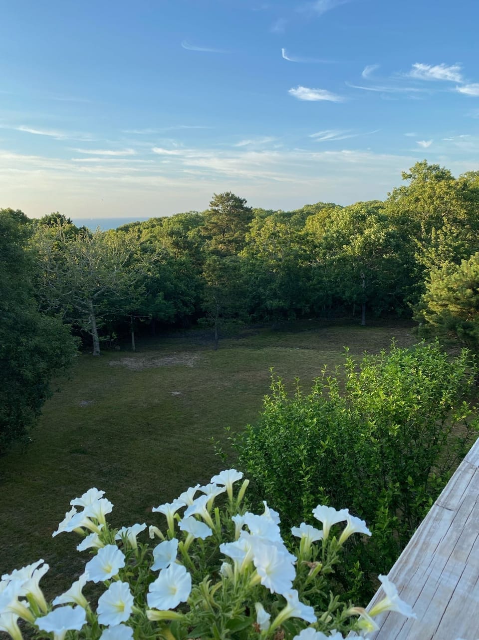 View of yard from upstairs deck