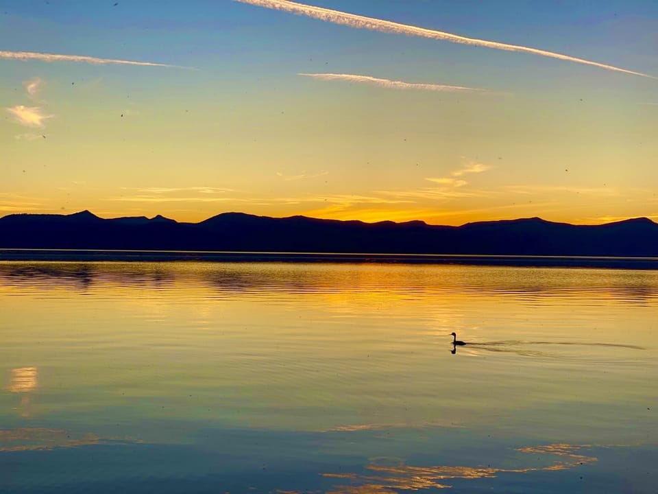 Amazing sunsets and birdwatching! 