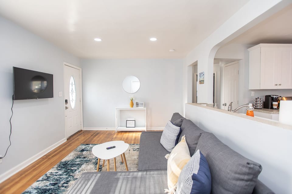 Living Rom With Pull Out Couch