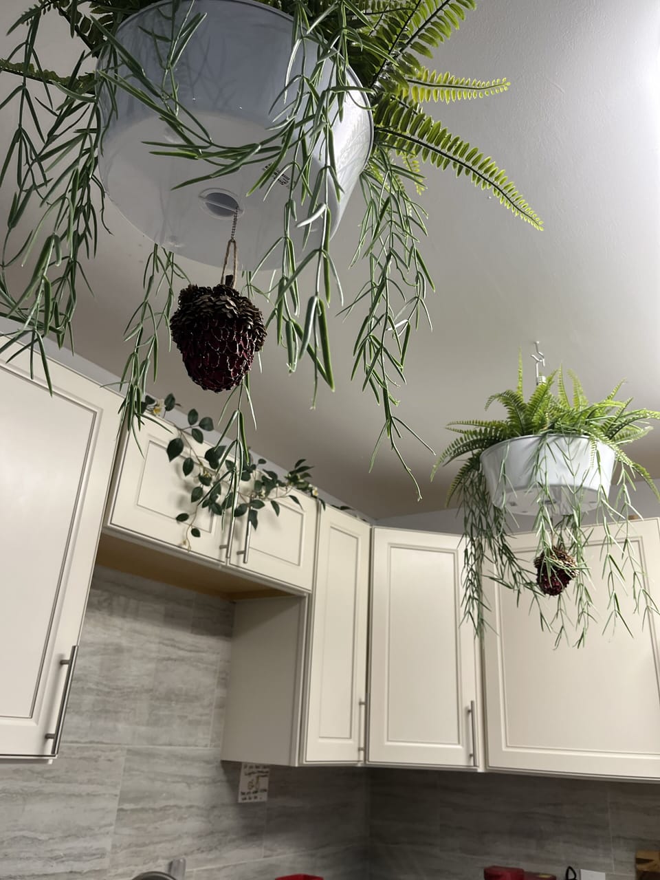 daydream some more….