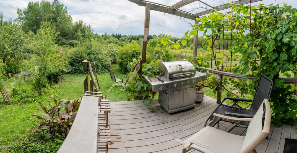 back porch has a beautiful view , grill and patio furniture