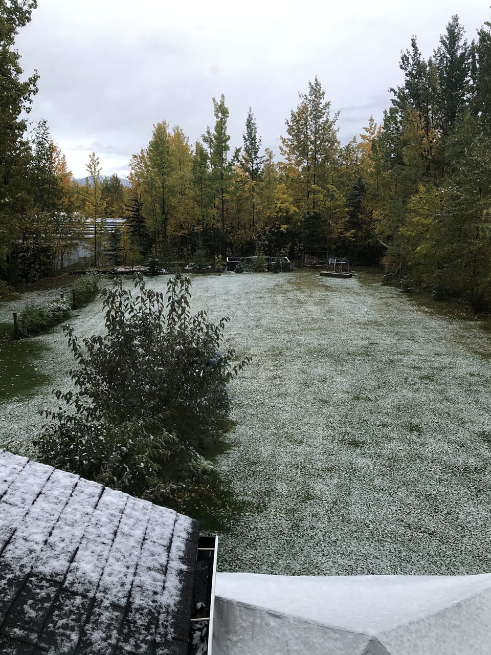 Back yard view from the Master bedroom.  First snow, late September.