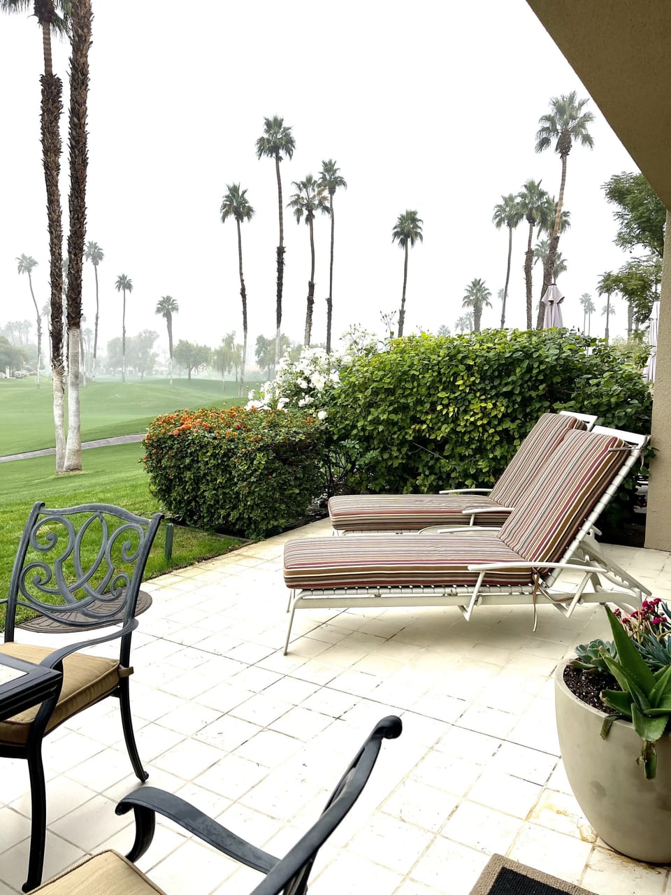 Foggy Early Morning