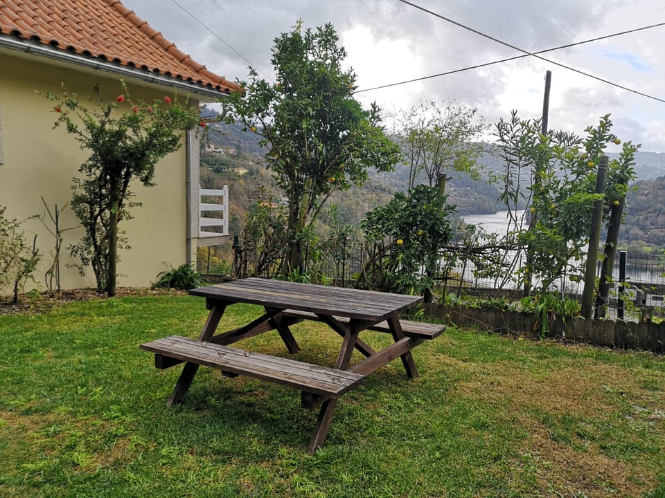 Outdoor Garden
