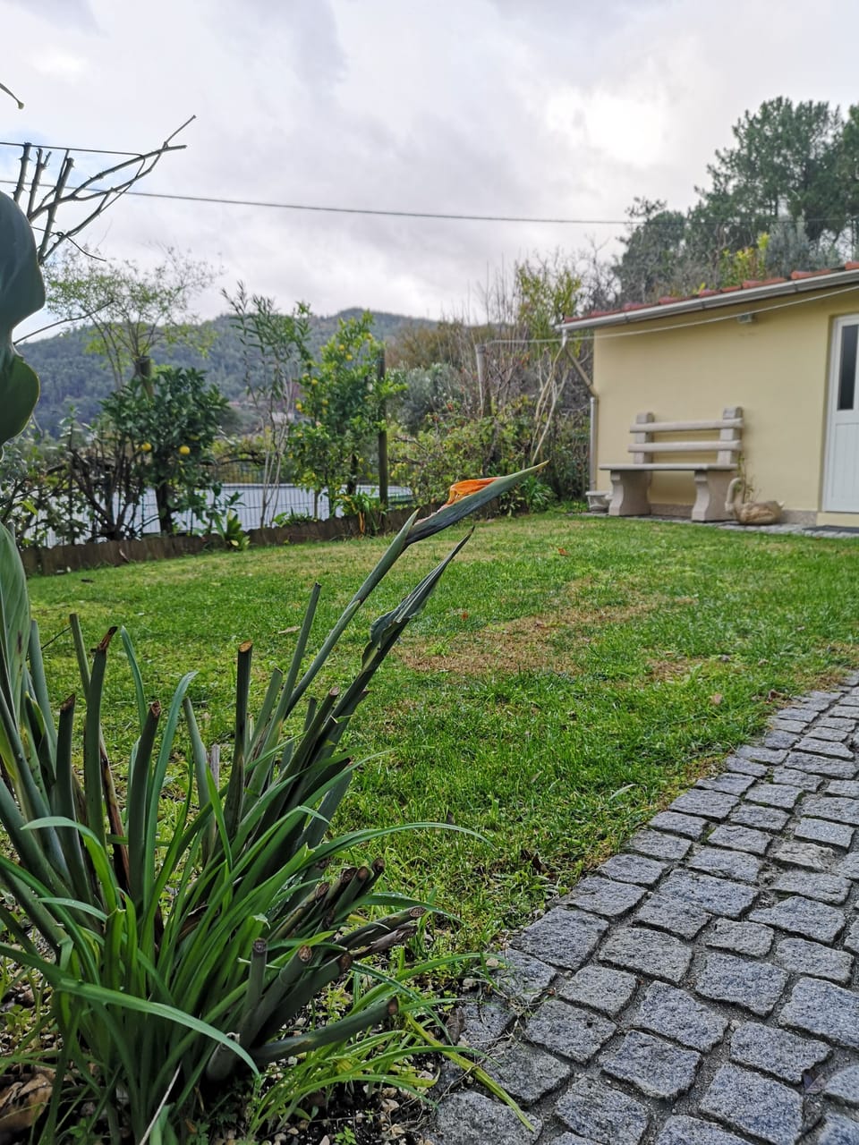 Outdoor Garden