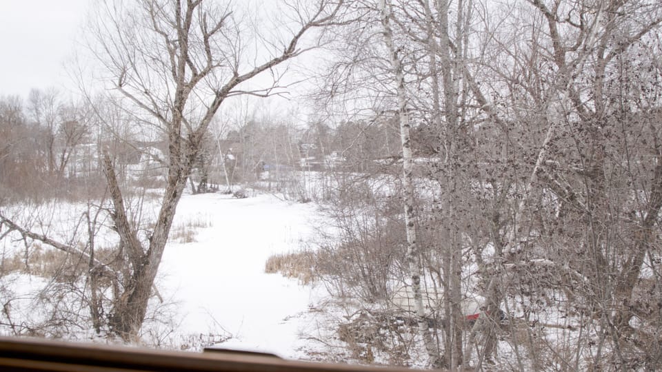 Winter view of the pond from master bedroom.