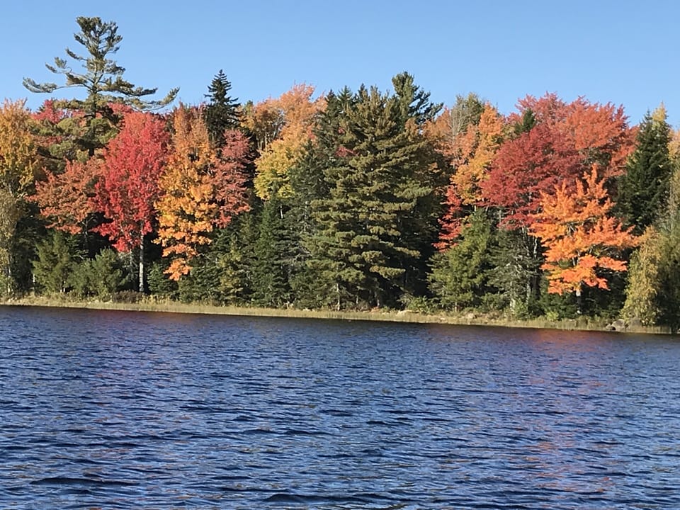 Launch your boat or kayak from our dock and enjoy beautiful views. 