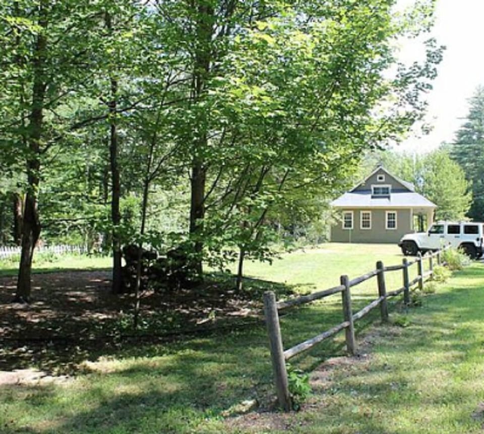 Large side yard with lots of trees for shade