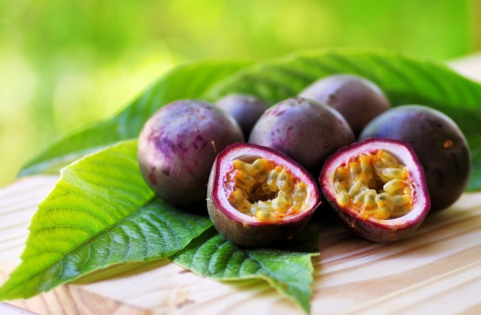 Fresh passion fruit ripe for picking
