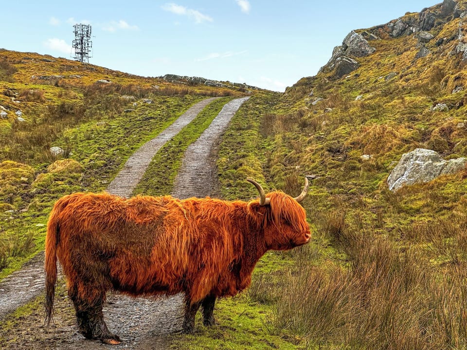 Surrounding area | Burnside Cottage, Isle of Islay