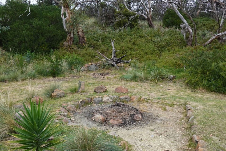 Fire Pit in the back yard - complimentary fire wood for your stay.  Fires are not allowed during a total fire ban.