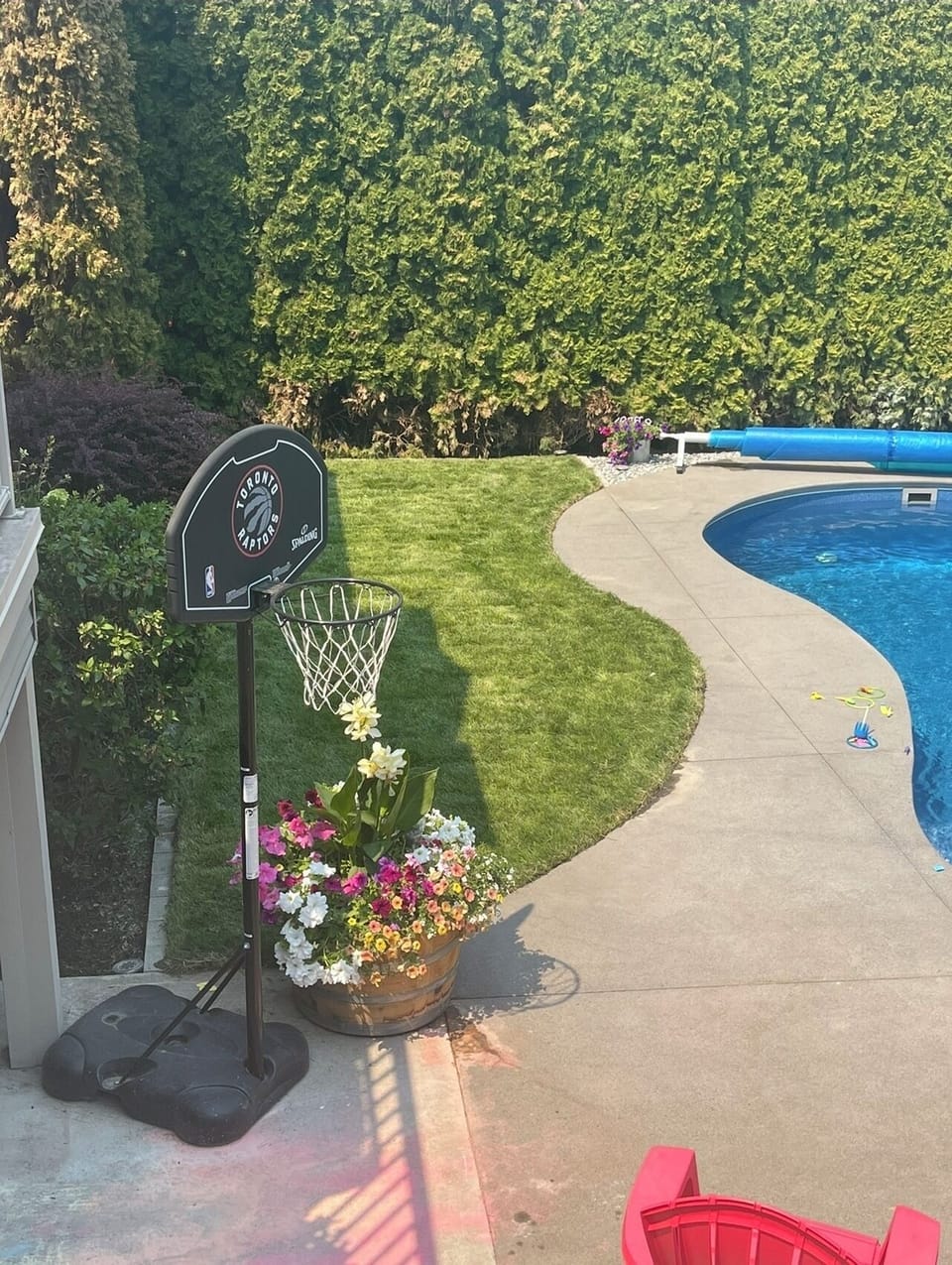 basketball net on backyard cement pad