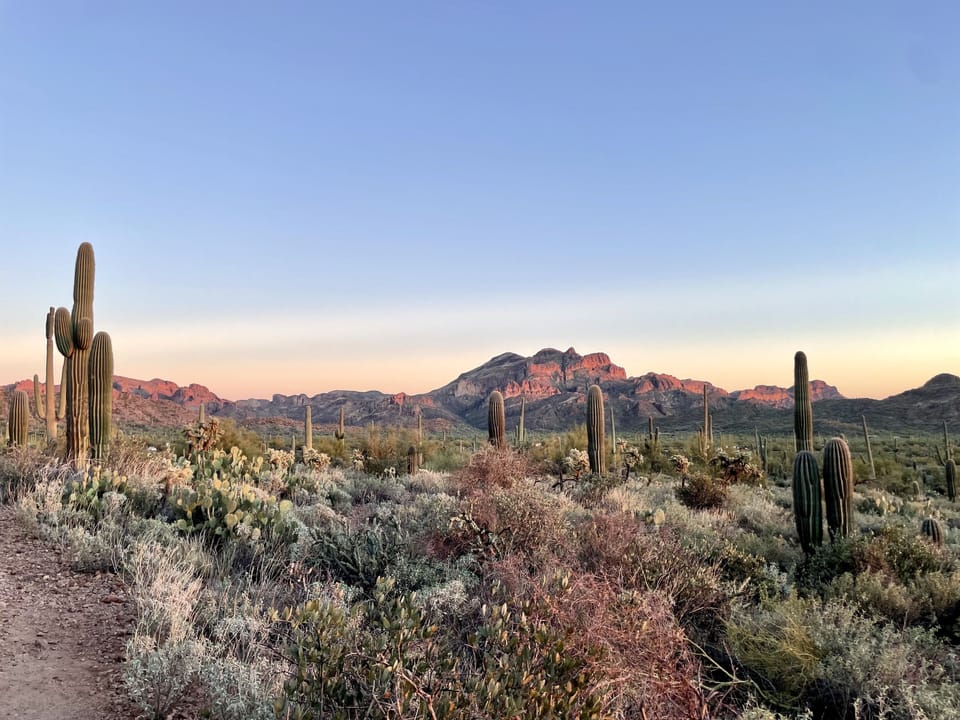 A view from the nearby trails.