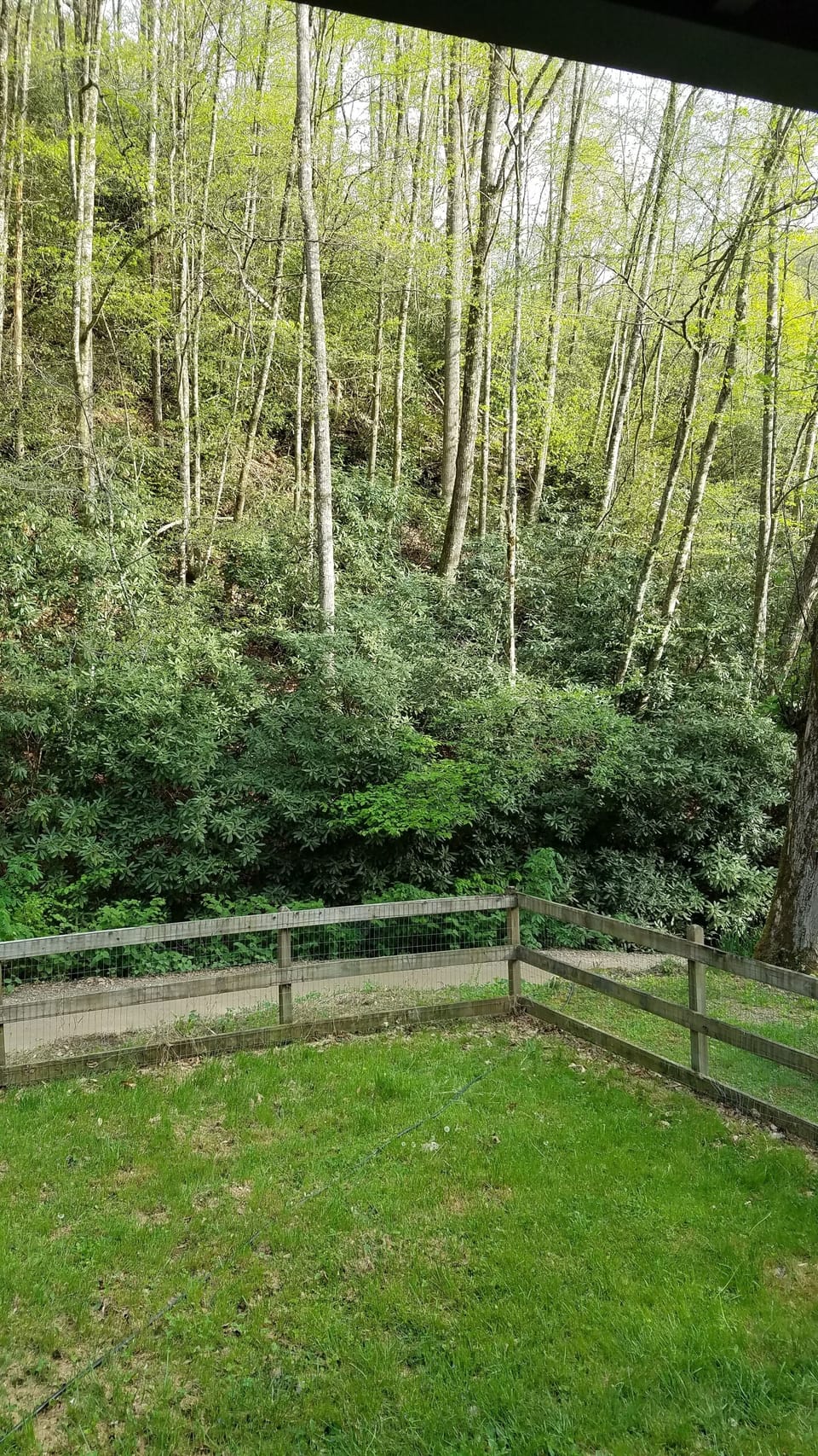 Property grounds