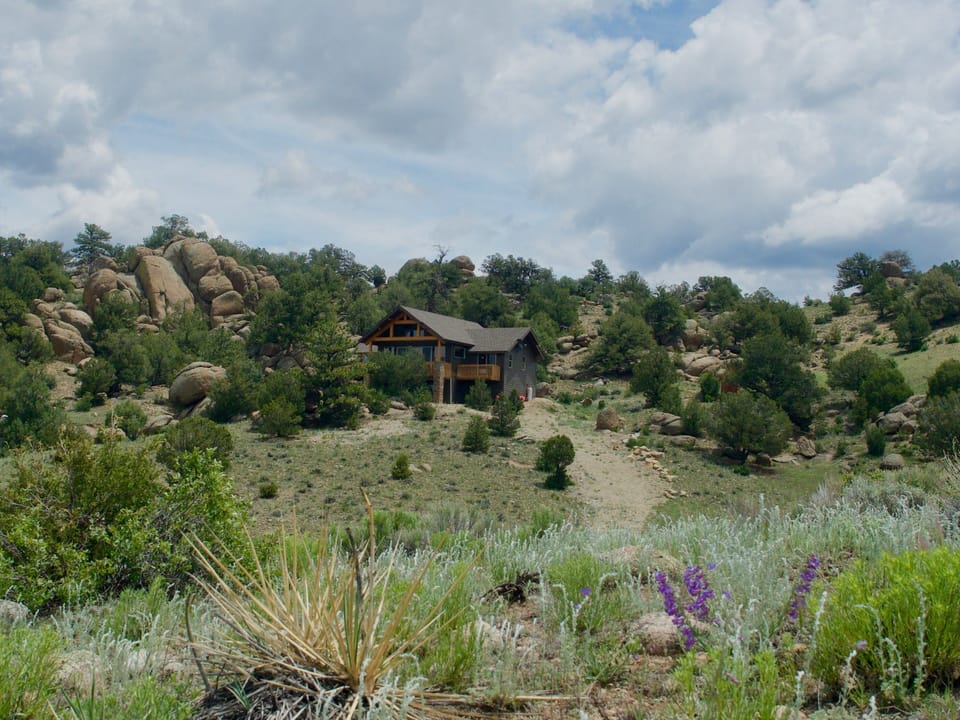 View from the Driveway