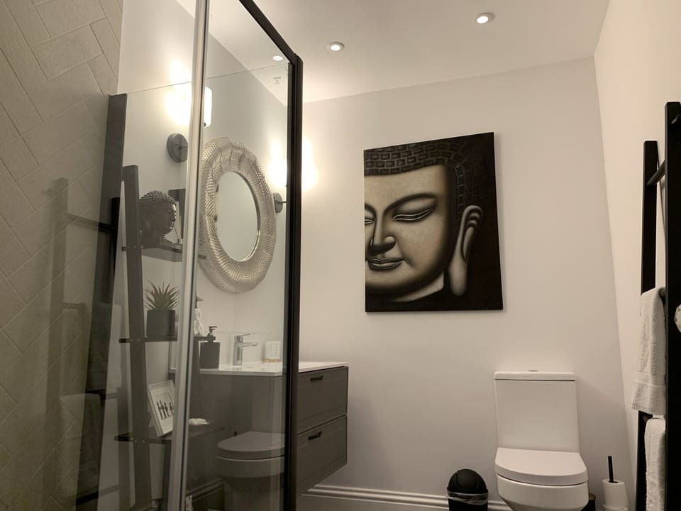 Downstairs loo with walk-in shower