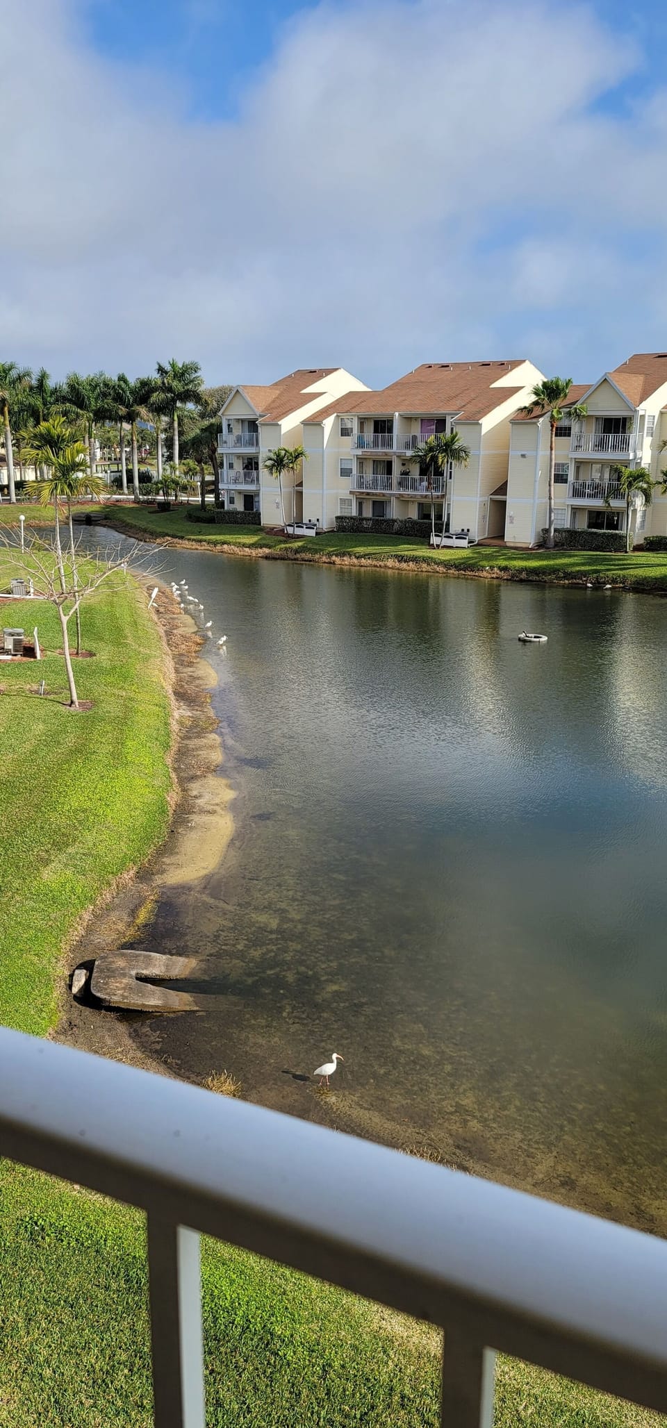 Vew from the balcony  off the living room