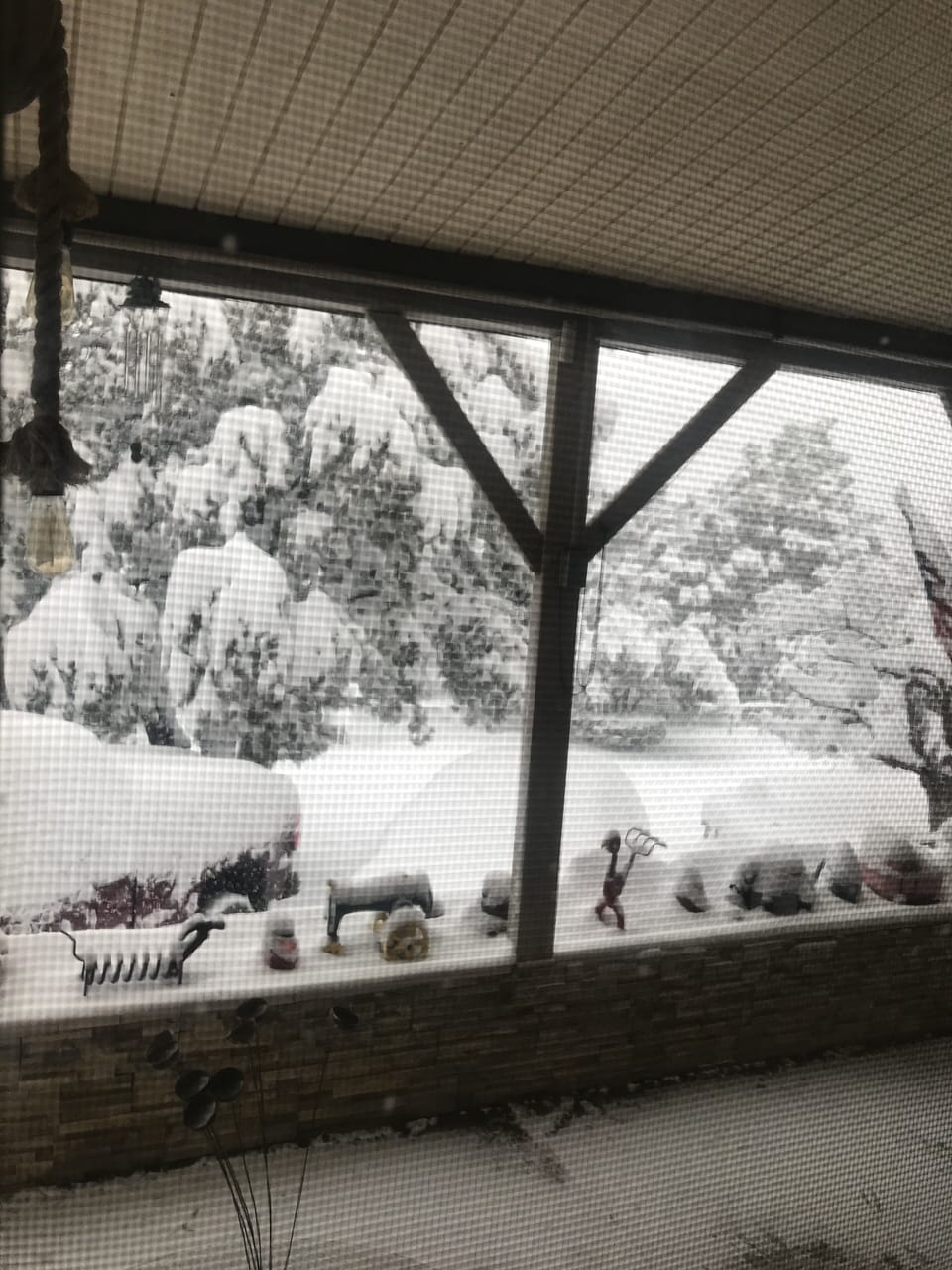 views of snow in the winter