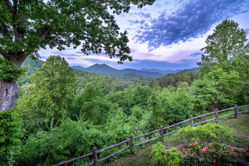 View from property
